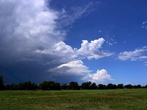 Drove out to the my hangar in North East Texas