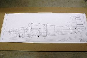 Taped drawing 18 to a piece of cardboard