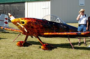 This bird is hot!