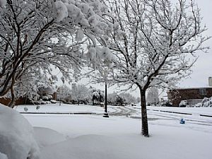 Another view down the street